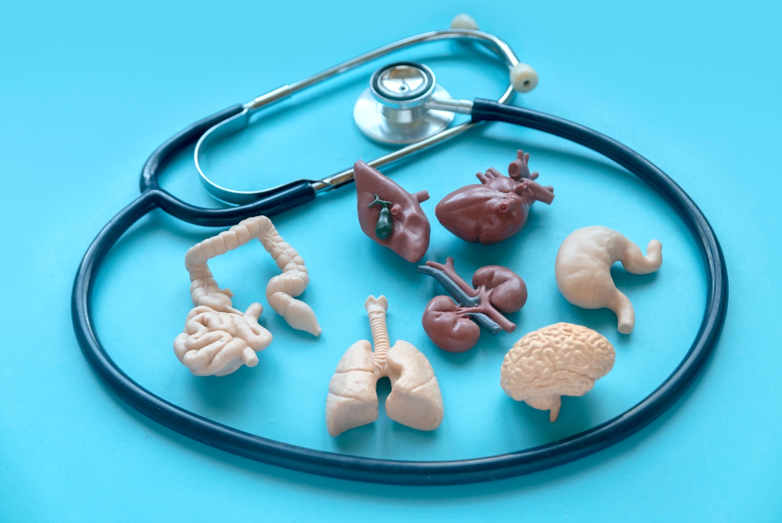 Medicina interna